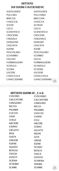 DETTATI PER DSA