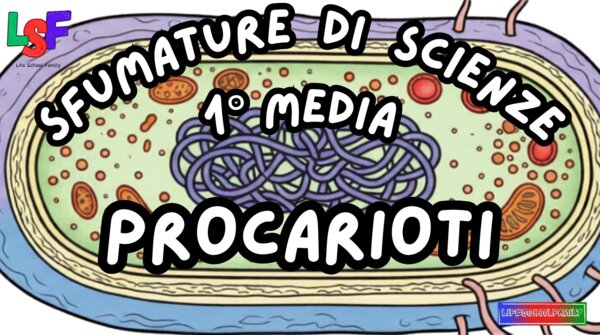 Procarioti_KIT MULTIMODALE SCIENZE 1°media_slide+ infografica+ mappa mentale+ disegno da colorare+VERIFICA LE COMPETENZE+OMAGGIO:VIDEO&PODCAST