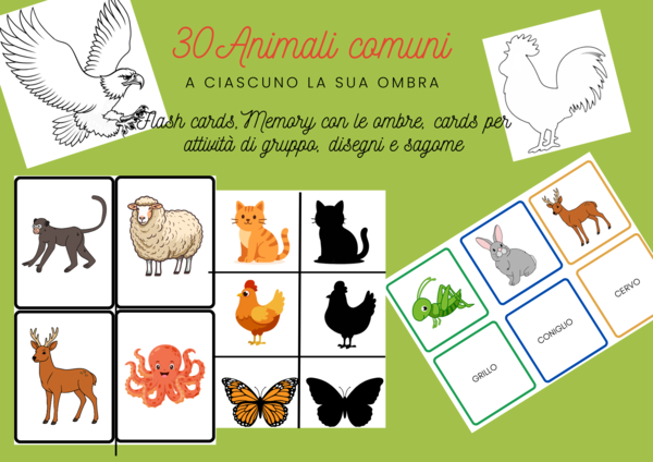 30 Animali comuni. A ciascuno la sua ombra Cards e attività