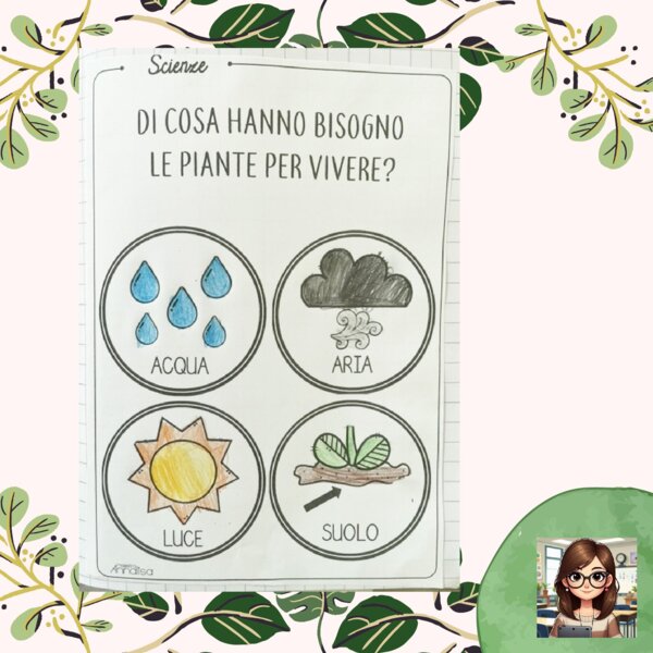 Di cosa hanno bisogno le piante per vivere?
