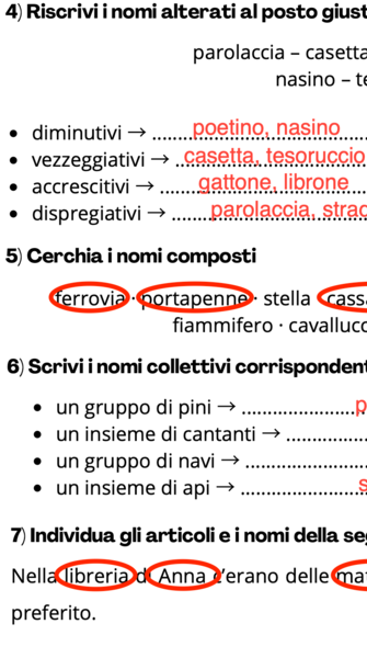 Verifica grammatica - nome e articolo
