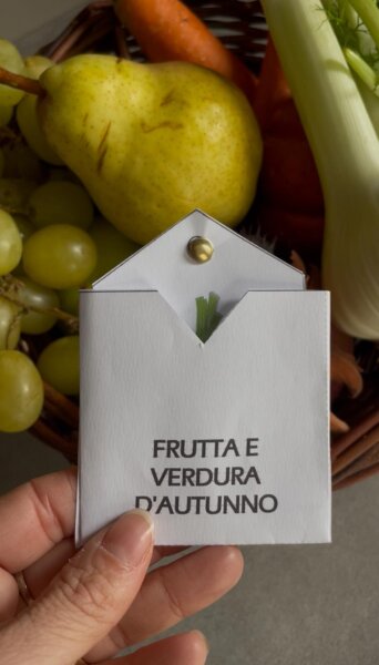 Frutta e verdura d' Autunno