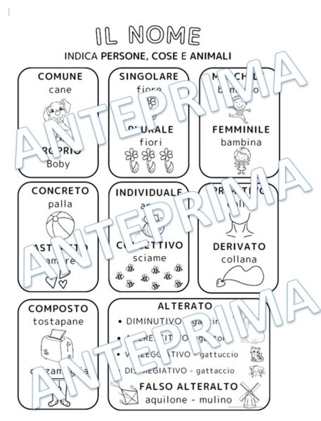 Il nome - mappa di sintesi