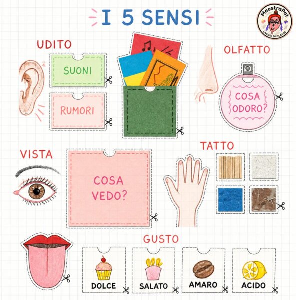 LAPBOOK  I 5 SENSI
