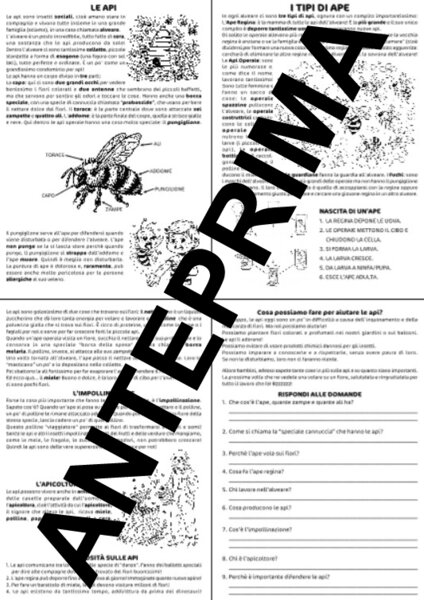 CONOSCERE LE API - SCUOLA PRIMARIA