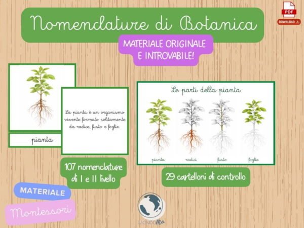 Botanica Montessori | 107 Nomenclature + 29 Cartelloni di Controllo PDF | Botany Nomenclature| pianta radici fusto foglia frutto semi
