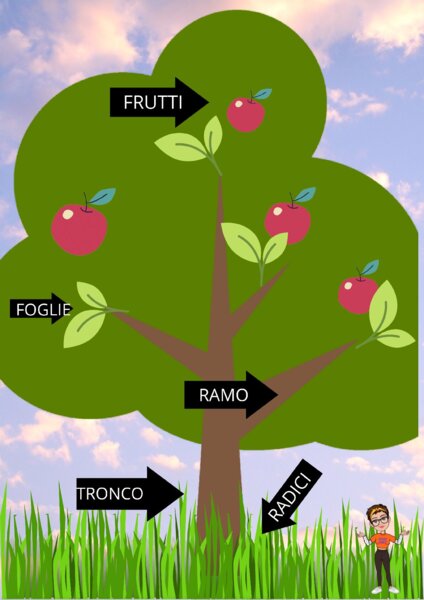 LE PARTI DELL'ALBERO