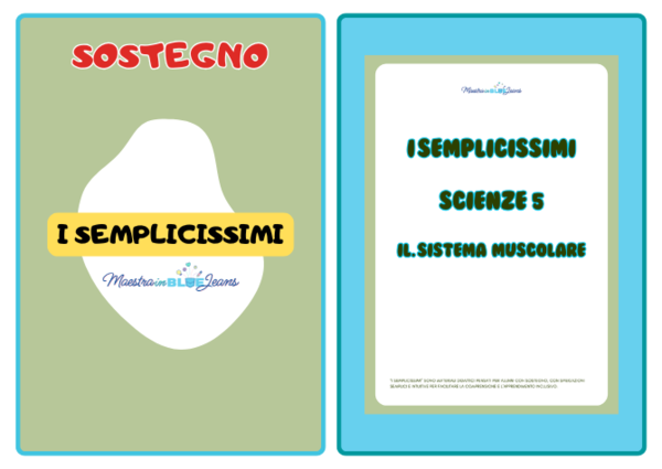 I semplicissimi: il sistema muscolare