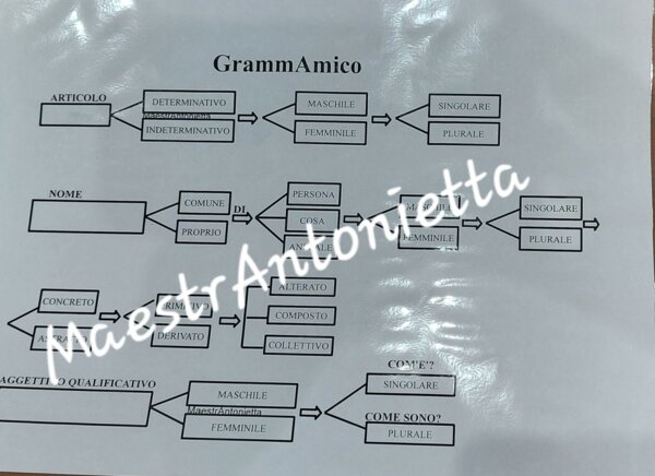 GrammAmico (parte 1)