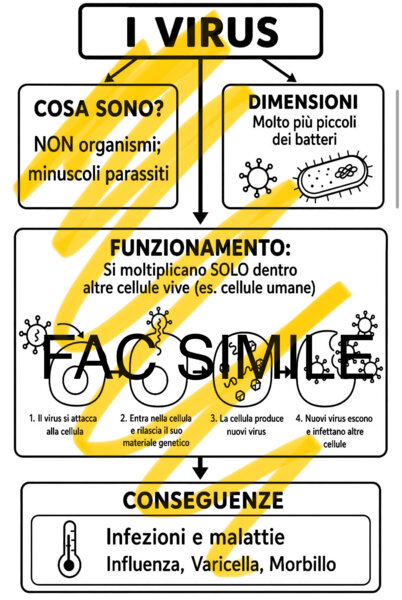 Batteri funghi e virus per DSA