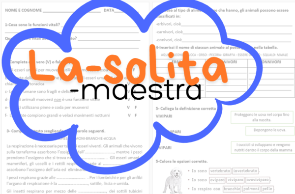 Verifica standard e verifica semplificata sulle funzioni vitali (scienze classe terza o quarta)