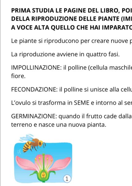 LA RIPRODUZIONE DELLE PIANTE