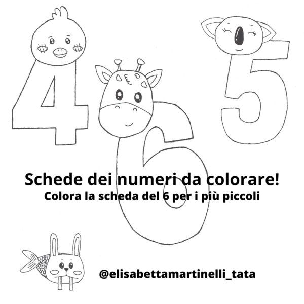 Scheda del 6