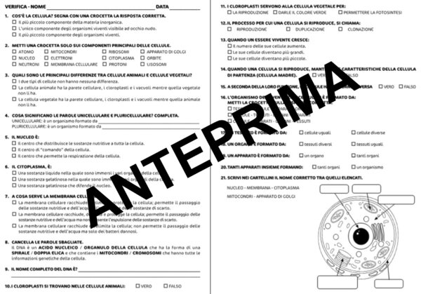SCIENZE: VERIFICA SULLE CELLULE, TESSUTI, ORGANI, APPARATI E ORGANISMI - CLASSE QUARTA - SCUOLA PRIMARIA