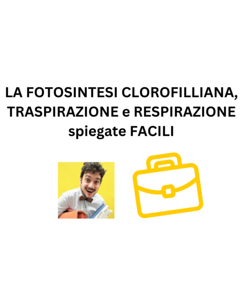 LA FOTOSINTESI CLOROFILLIANA, TRASPIRAZIONE e RESPIRAZIONE spiegate FACILI
