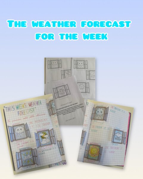 THE WEATHER FORECAST FOR THE WEEK