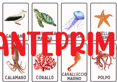 Flashcards animali e ambienti/ecosistemi