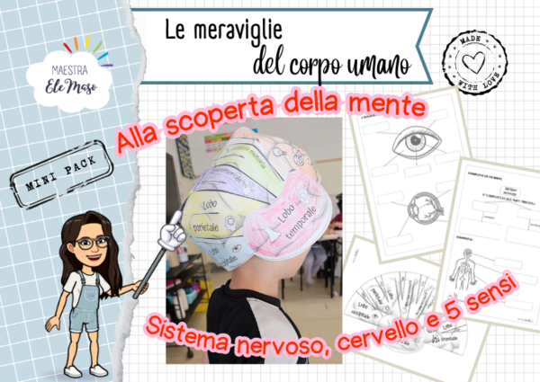 Alla Scoperta della Mente: Kit Interattivo Sistema Nervoso, Cervello 3D e i 5 Sensi (Scuola Primaria)