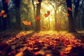 Flashcards in inglese sull'autunno - Autumn flashcards