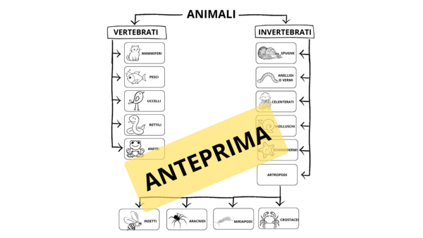 Animali vertebrati e invertebrati mappa