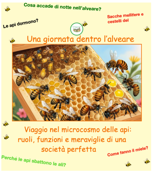 Una giornata all'interno dell'alveare per scoprire il mondo delle api a 360°