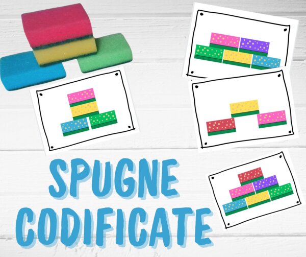 SPUGNE CODIFICATE