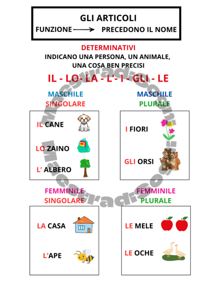 Articoli - mappa (classe seconda)