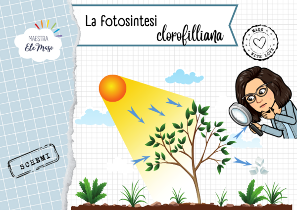 La fotosintesi clorofilliana