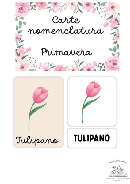 Carte nomenclatura della Primavera