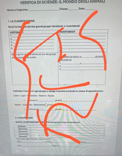 verifica animali classe terza