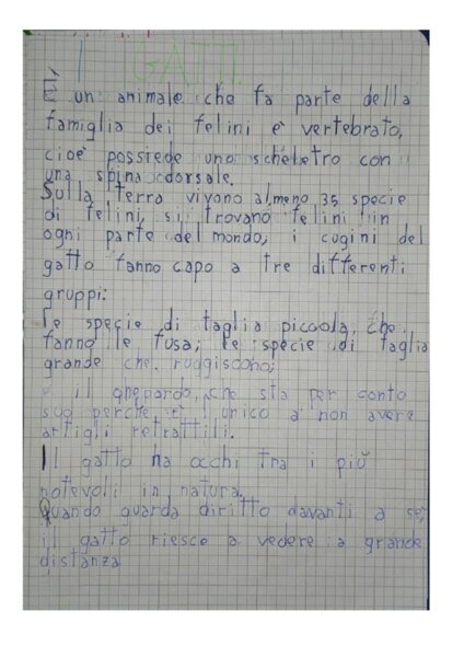 Ricerca sui gatti prima e seconda primaria