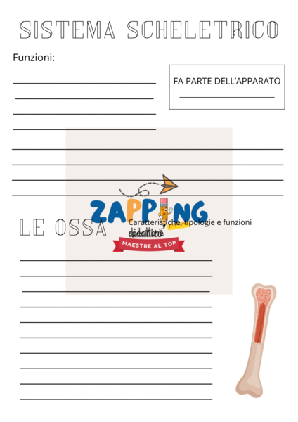 Il corpo umano