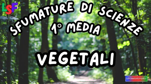 Vegetali_KIT MULTIMODALE SCIENZE 1°media_slide+ infografica+ mappa mentale+ disegno da colorare+VERIFICA LE COMPETENZE+OMAGGIO:VIDEO&PODCAST
