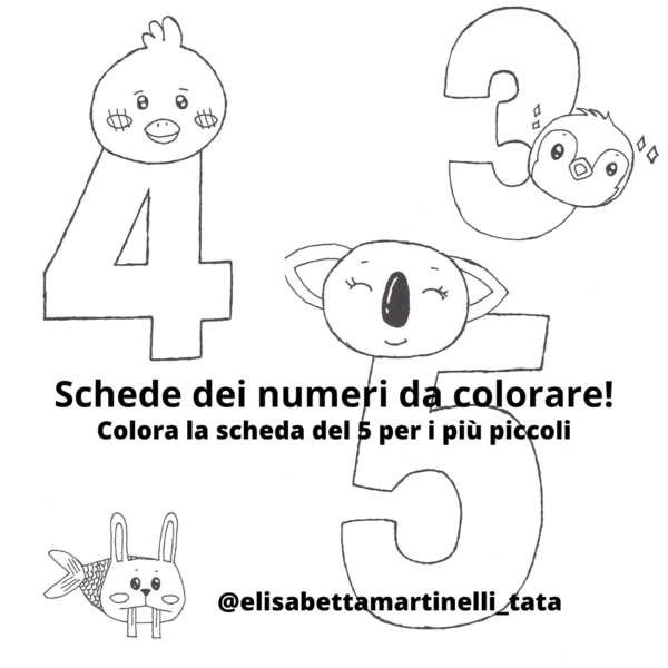Scheda del 5