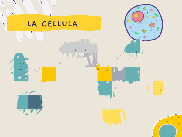 MAPPA CELLULA