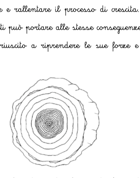 Anelli di crescita degli alberi