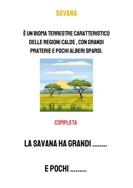 Il bioma