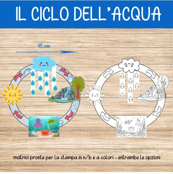 💧 Il Ciclo dell’Acqua