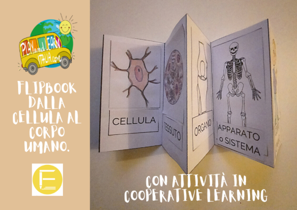 FLIPBOOK - DALLA CELLULA AL CORPO UMANO