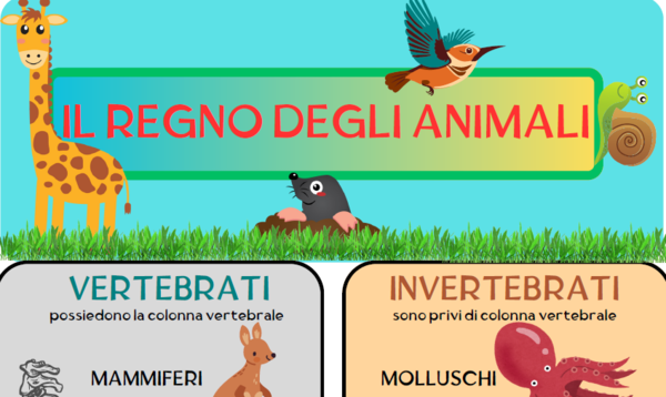 IL MONDO DEGLI ESSERI VIVENTI - INVERTEBRATI E VERTEBRATI