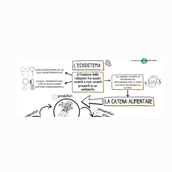 L'ECOSISTEMA