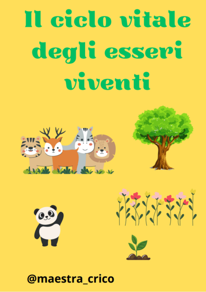 Il CICLO VITALE DEGLI ESSERI VIVENTI