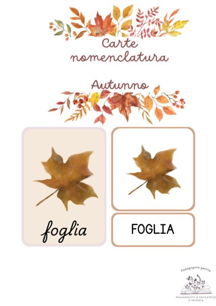 Carte nomenclatura montessoriana dell'autunno
