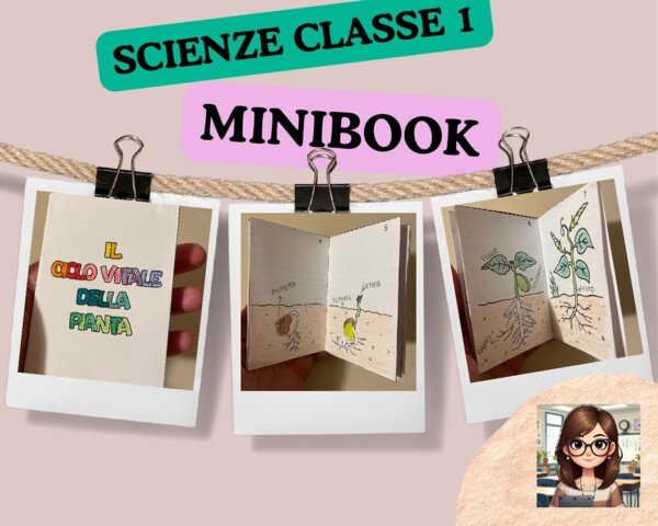 MINIBOOK "Il ciclo vitale della pianta"