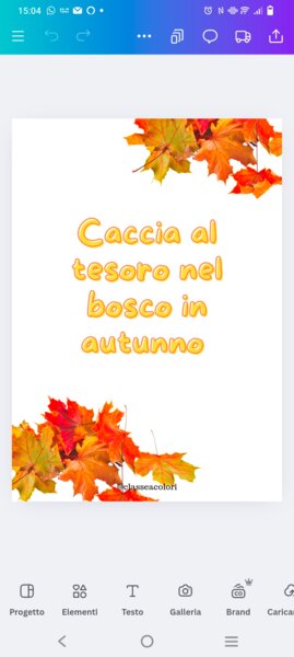 Caccia al tesoro nel bosco