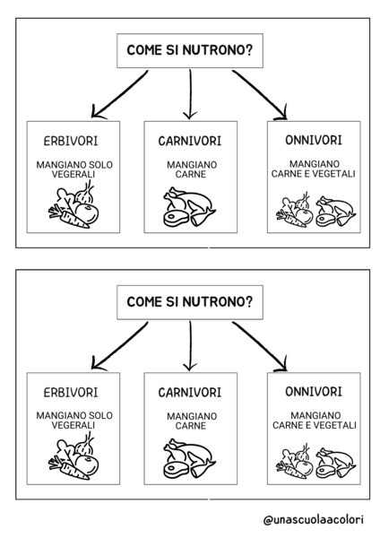ANIMALI mappe