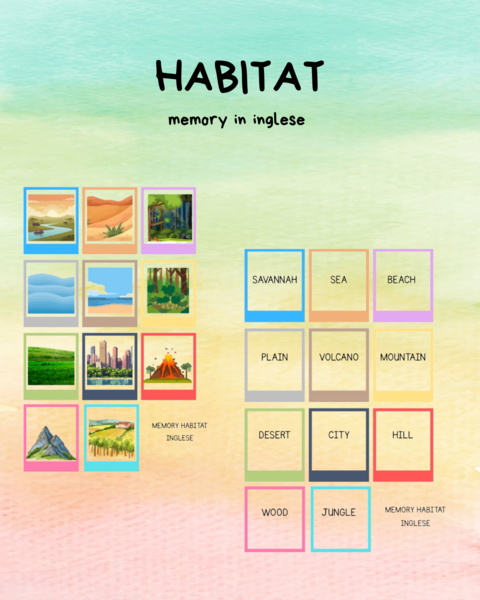 Memory Habitat inglese