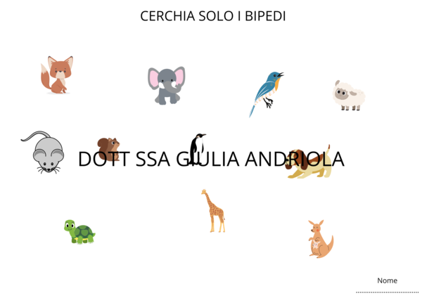 COME SI MUOVONO GLI ANIMALI?