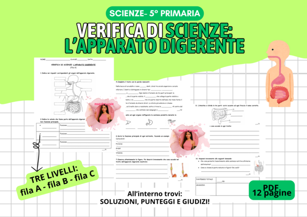 VERIFICA di Scienze - L'apparato digerente (Versione standard e semplificata)