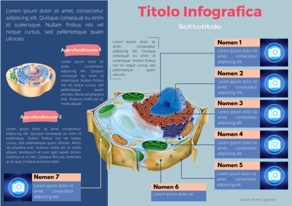 Modello di infografica didattica editabile e personalizzabile (blue)